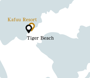 Tiger 老虎海灘