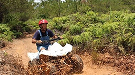 Buggy Adventure Tour(Higashi Village)