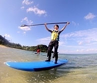 Paddle board