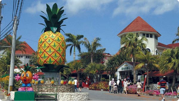 Nago Pineapple Park