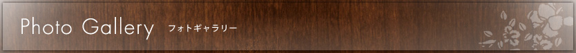 Fhoto Gallery　フォトギャラリー