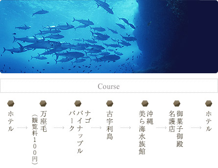 Course コース