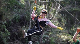 叢林泰山冒險區