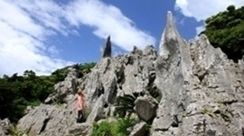 大石林山